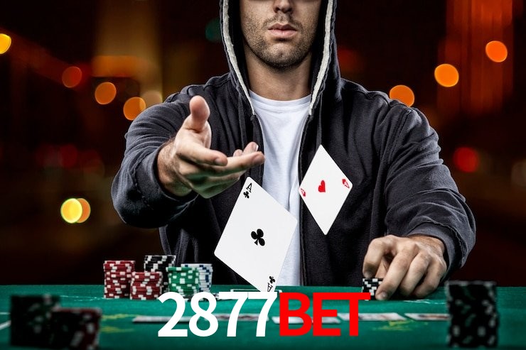 2877bet.com